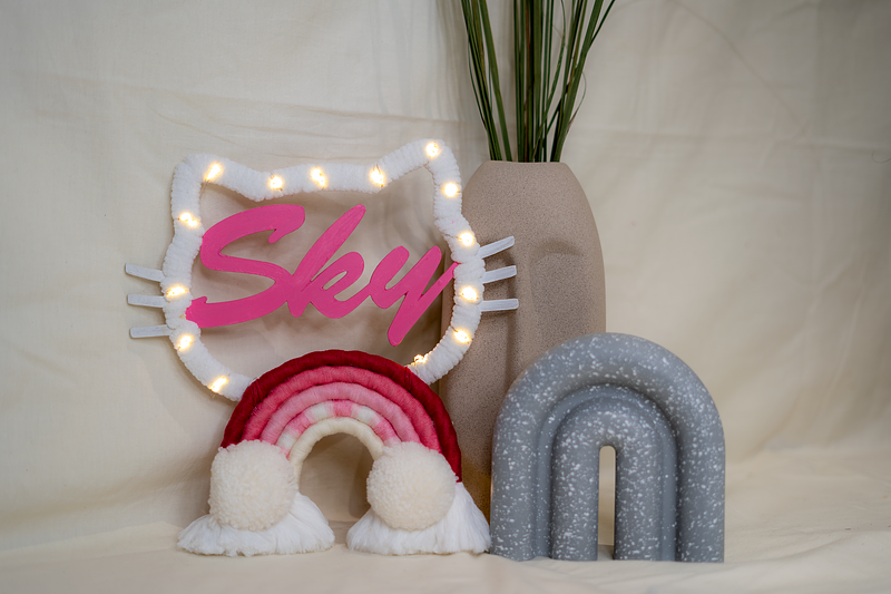 Cat Half Dream Catcher